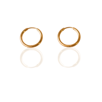 Round Hoops with Interchangeable Charms earring